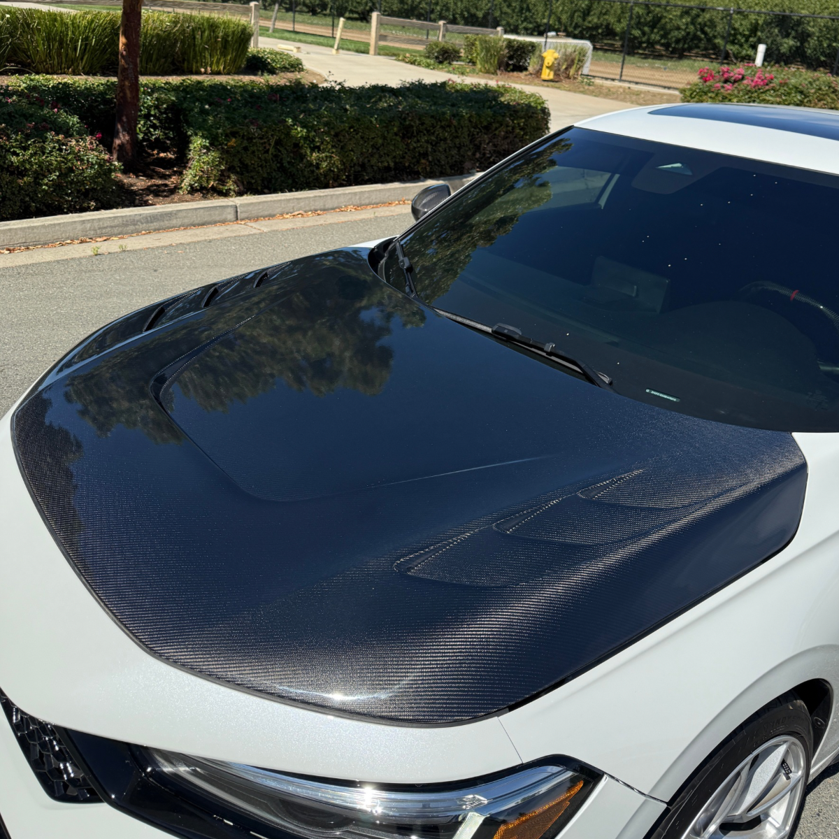 2022+ 11th Gen Civic Carbon Fiber V2 Hood