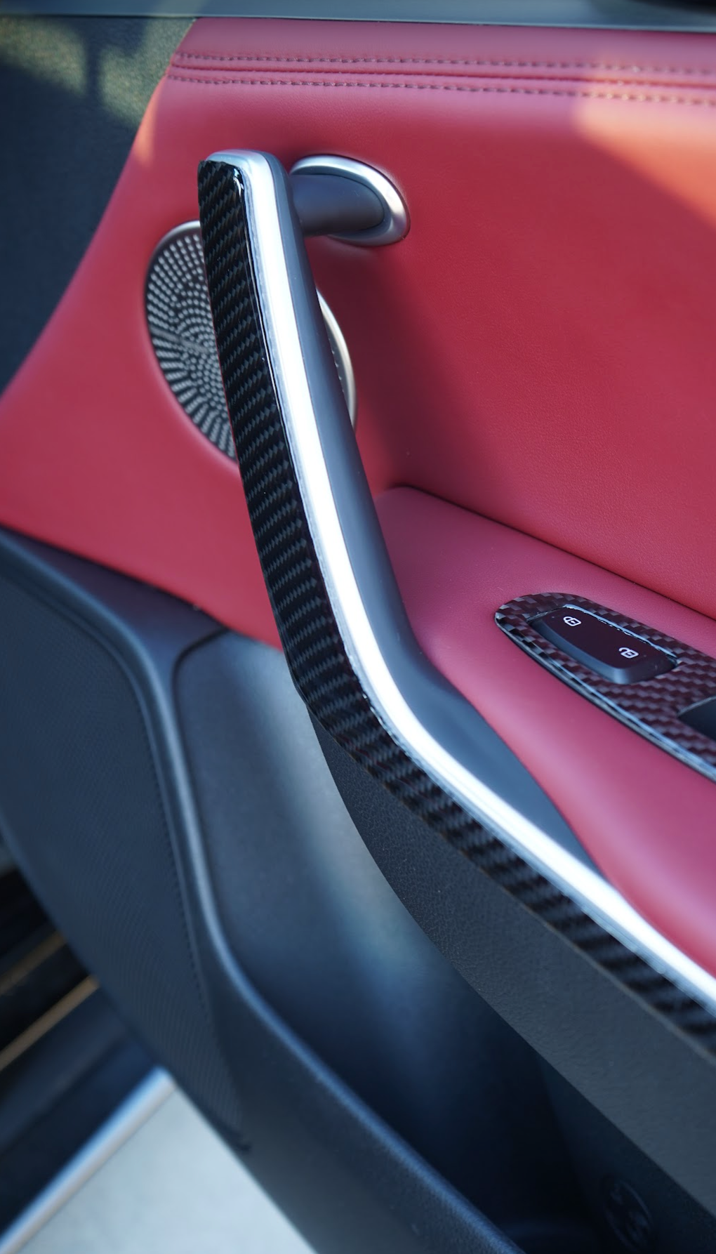 2017+ Kia Stinger Carbon Fiber Door Panel Trim